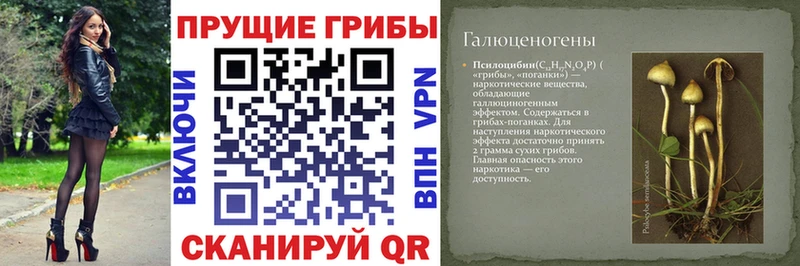 Псилоцибиновые грибы GOLDEN TEACHER  Билибино 